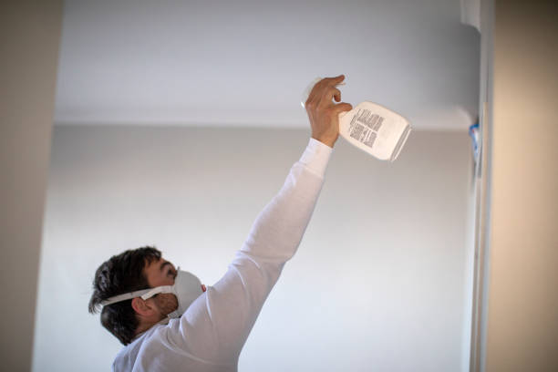 Trusted Janesville, CA Mold Removal Experts