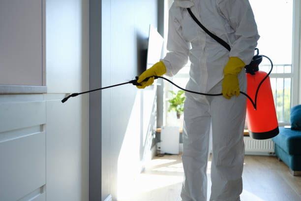Best Toxic Mold Removal  in Janesville, CA