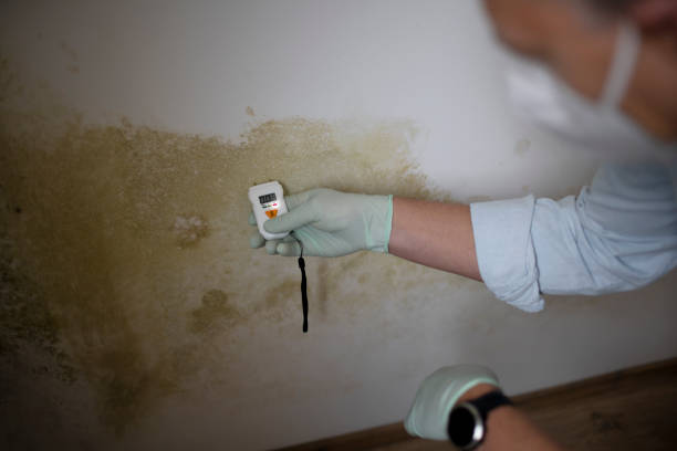 Best Water Damage Restoration  in Janesville, CA