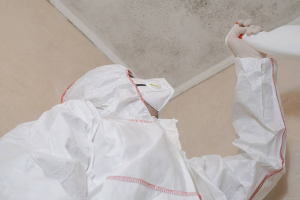Best Emergency Mold Removal  in Janesville, CA