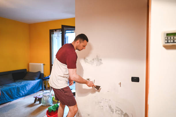 Best Local Mold Removal Service  in Janesville, CA