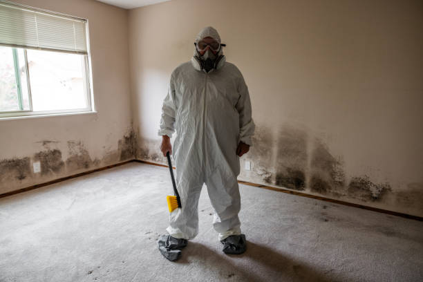 Best Affordable Mold Removal  in Janesville, CA